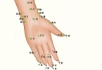 皮肤粗糙怎么办 按摩1个穴位能改善