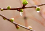 女生白天睡觉梦见下雨是什么意思