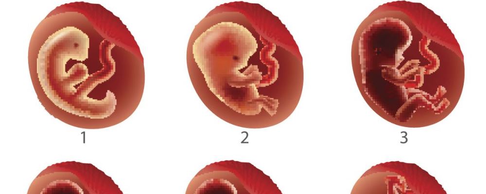 过早怀孕危害多 女人们请选择适龄生育