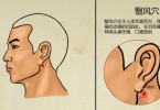 气虚体质适合的药膳 气虚体质人群的药物保健