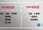 九价疫苗难约怎么办？香港HPV九价便捷预约