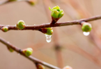 谷雨养生切记6点 为一年健康打好基础