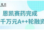 恩凯赛药完成数千万元A++轮融资，加速推进NK细胞免疫产品管线